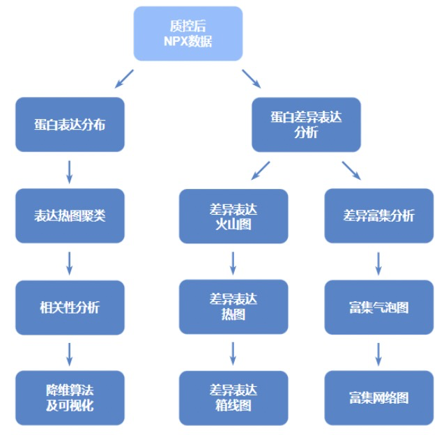 圖片39.png