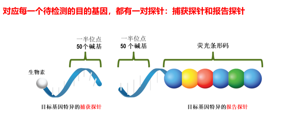 圖片51.png