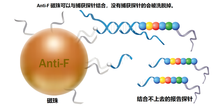 圖片52.png