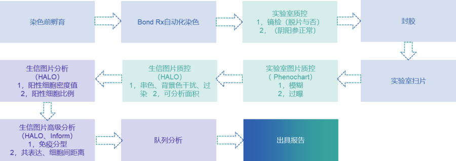 圖片65.png